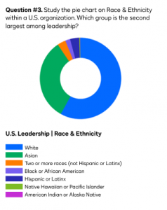 Test question #3: a pie chart representing the race and ethnicity of U.S. leadership in an enterprise.